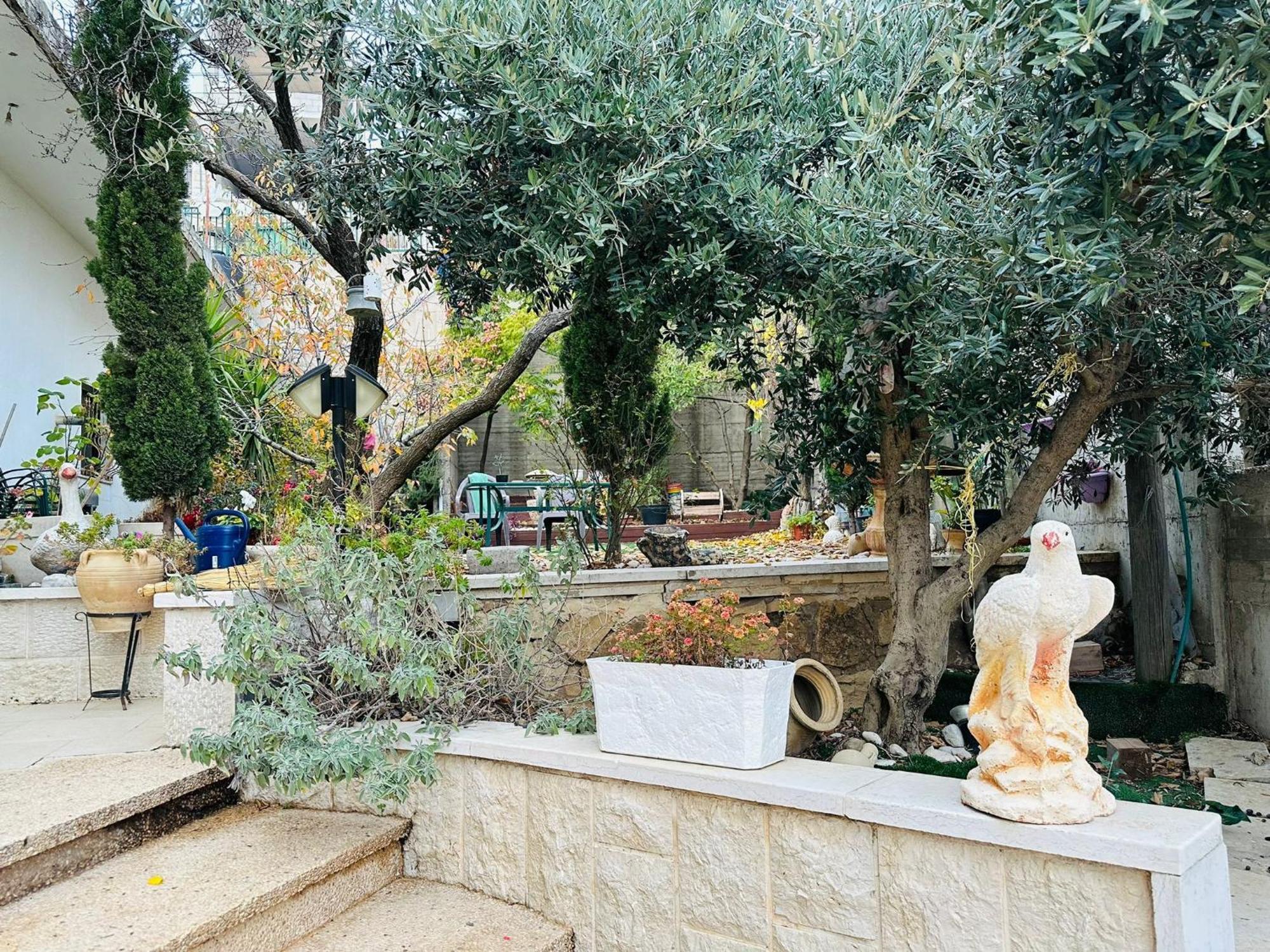 Hermon Accommodation Majdal Shams Quarto foto