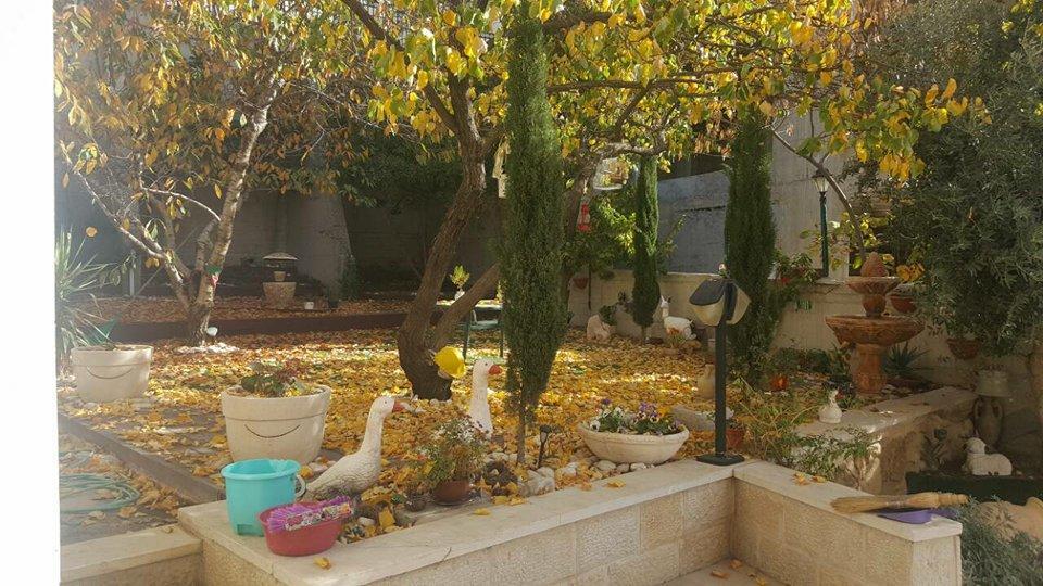 Hermon Accommodation Majdal Shams Exterior foto